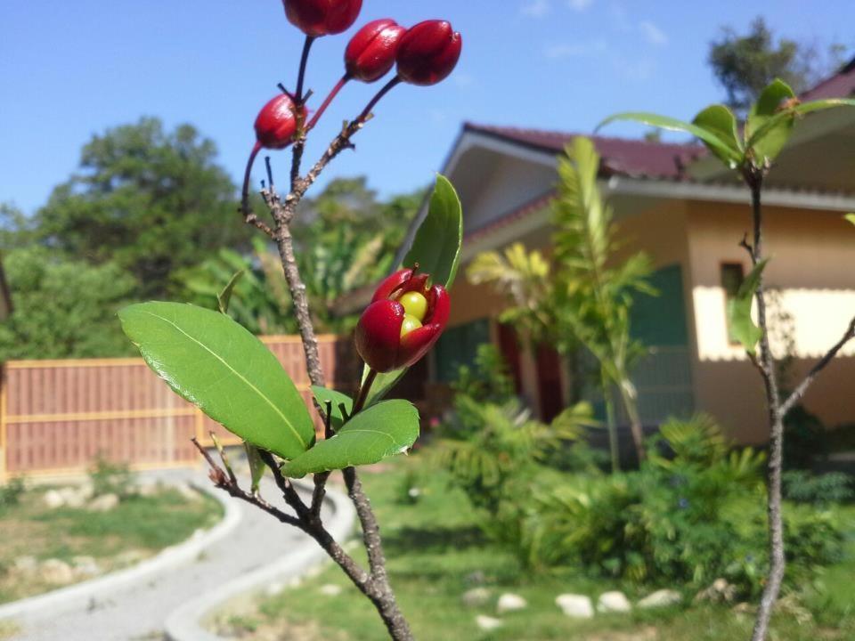 Villa De Mama Rawai Cameră foto